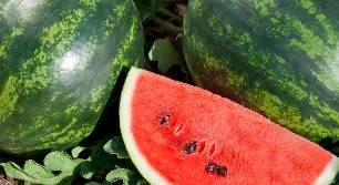 watermelons