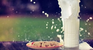 kefir diet options for weight loss