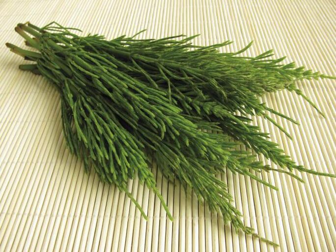 Horsetail - a natural diuretic for weight loss