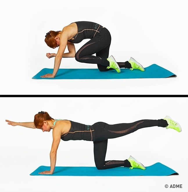 exercises