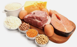 the benefits of the diet protein